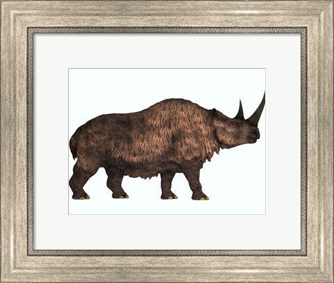 Framed Woolly Rhinoceros, an extinct mammal from the Pleistocene Period Print