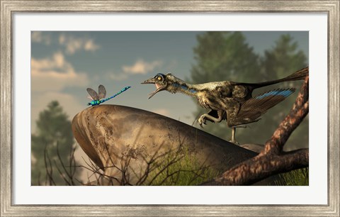 Framed Archaeopteryx stalks a dragonfly on a rock Print