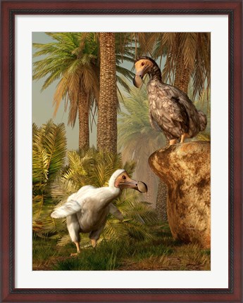 Framed pair of Dodo birds play a game of hide-and-seek Print