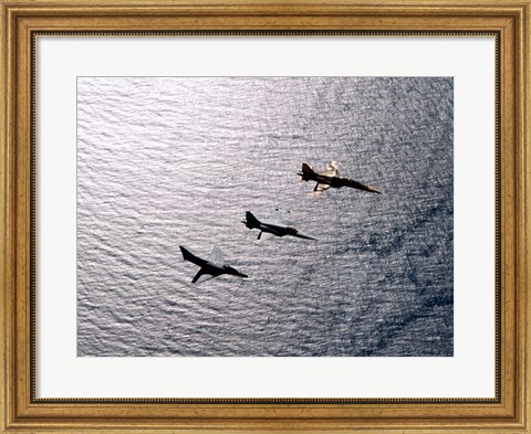 Framed F-5F Tiger II, F-5E Tiger II and A-4 Skyhawk Print