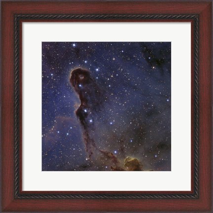 Framed Elephant&#39;s Trunk Nebula in the star cluster IC 1396 Print