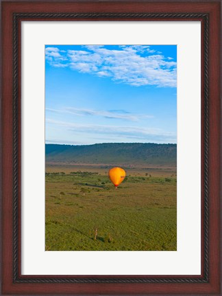 Framed Kenya, Maasai Mara, hot air ballooning at sunrise Print