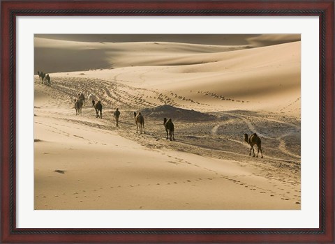 Framed MOROCCO, Tafilalt, Camel Caravan, Erg Chebbi Dunes Print