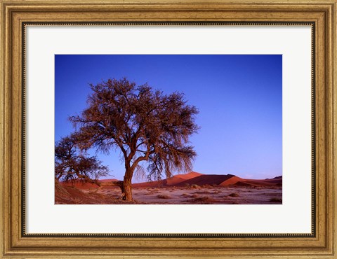 Framed Namibia, Namib Naukluft NP, Sossusvlei desert, Tree Print