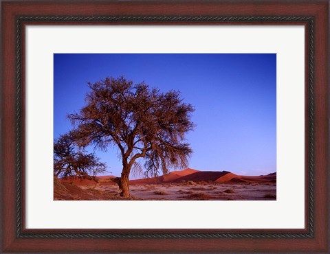 Framed Namibia, Namib Naukluft NP, Sossusvlei desert, Tree Print