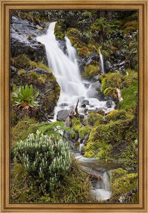 Framed Waterfall at Mount Stanley, Ruwenzori, Uganda Print