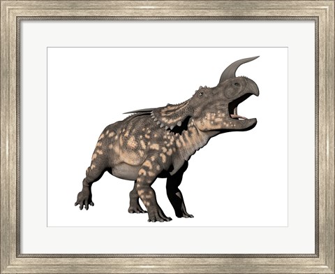 Framed Einiosaurus dinosaur, white background Print