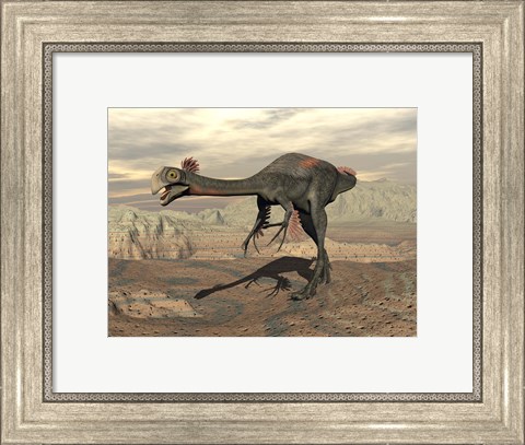 Framed Gigantoraptor dinosaur walking  on rocky terrain Print