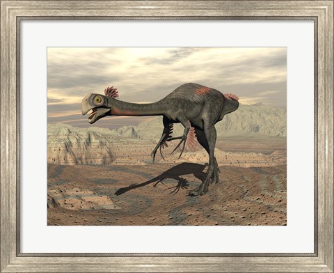 Framed Gigantoraptor dinosaur walking  on rocky terrain Print