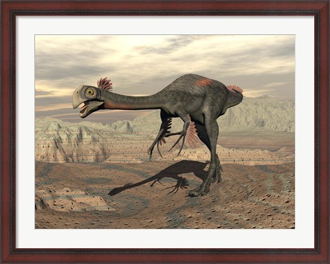 Framed Gigantoraptor dinosaur walking  on rocky terrain Print