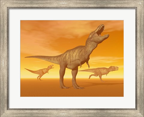 Framed Tyrannosaurus Rex dinosaurs in an orange foggy desert by sunset Print