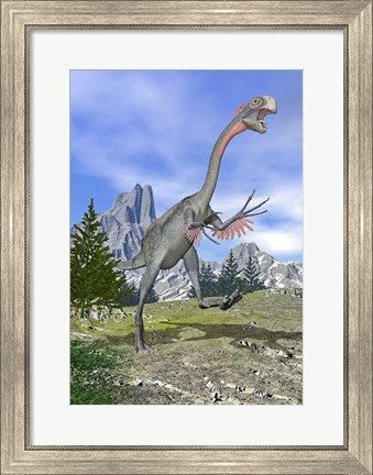 Framed Gigantoraptor dinosaur running in the mountains Print