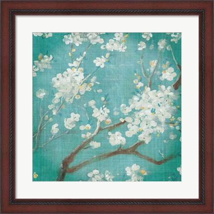 Framed White Cherry Blossoms I on Blue Aged No Bird Print