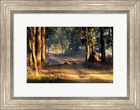 Framed Rural Road, Kanha National Park, India Print