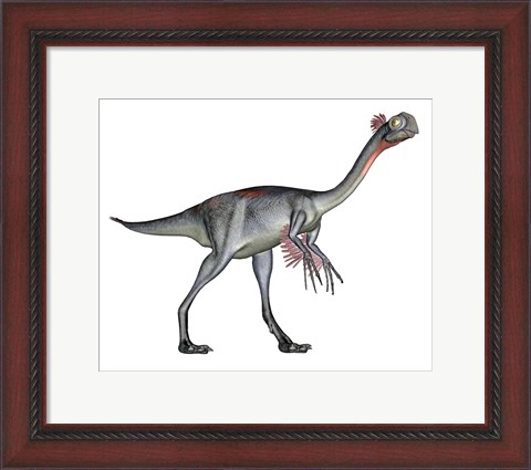 Framed Gigantoraptor dinosaur, white background Print