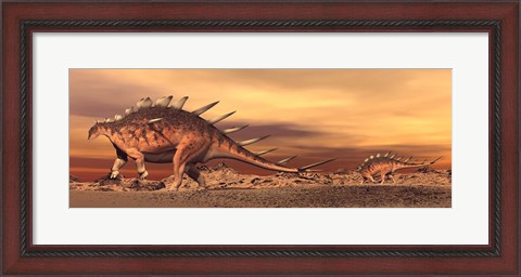 Framed Kentrosaurus mother and baby walking in the desert by sunset Print