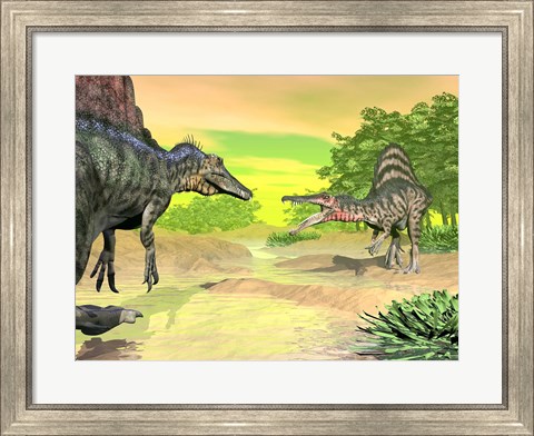 Framed Confrontation between two Spinosaurus dinosaurs Print