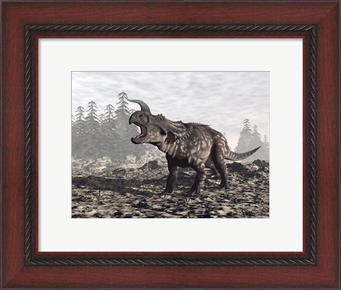 Framed Einiosaurus dinosaur roaring in nature Print