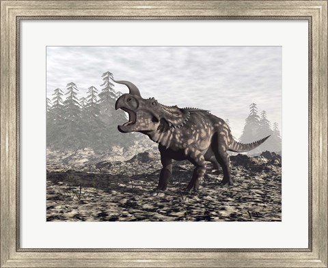 Framed Einiosaurus dinosaur roaring in nature Print