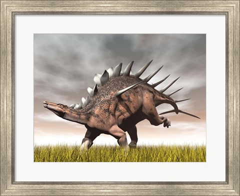 Framed Kentrosaurus dinosaur running on the yellow grass Print