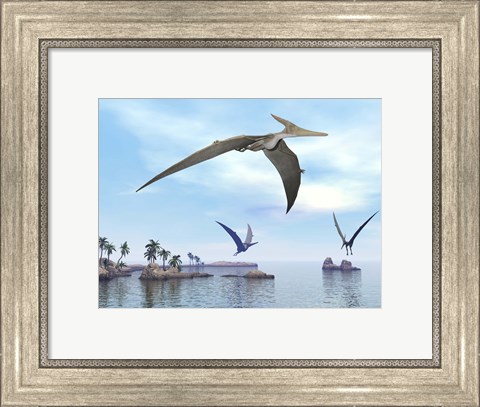 Framed Three pteranodons flying over landscape with hills, palm trees and water Print