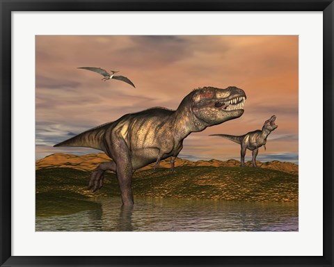 Framed Tyrannosaurus Rex dinosaurs with pteranodon bird flying above Print