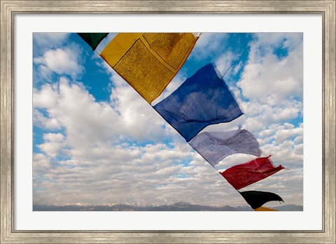 Framed Prayer flags, Leh, Ladakh, India Print