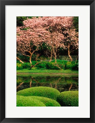 Framed Reflecting Pond, Imperial Palace East Gardens, Tokyo, Japan Print