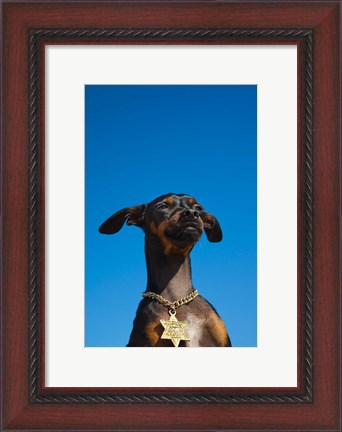 Framed Israel, Tel Aviv, Dog, Jewish Star of David medallion Print