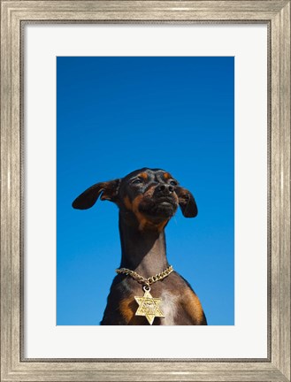 Framed Israel, Tel Aviv, Dog, Jewish Star of David medallion Print