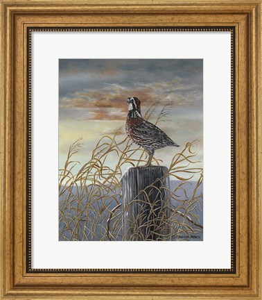 Framed Quail on a Post Print