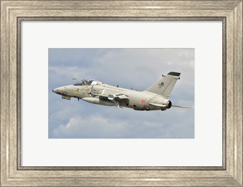 Framed Italian Air Force AMX fighter aircraft Print