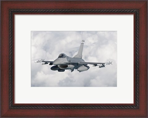 Framed F-16 from the Colorado Air National Guard in flight over Brazil Print