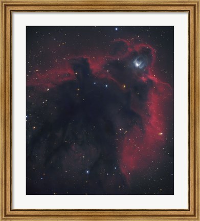 Framed Cometary Globule in Orion Print