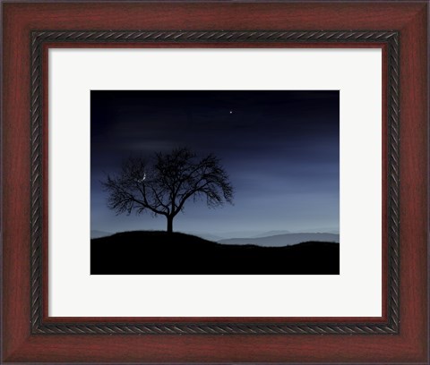 Framed Tree and the Moon Print