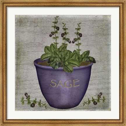 Framed Herb Sage Print