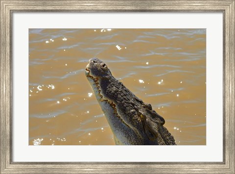 Framed Jumping Crocodile Cruise, Adelaide River, Australia Print