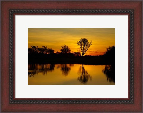 Framed Water Billabong, Kakadu NP, Northern Territory, Australia Print