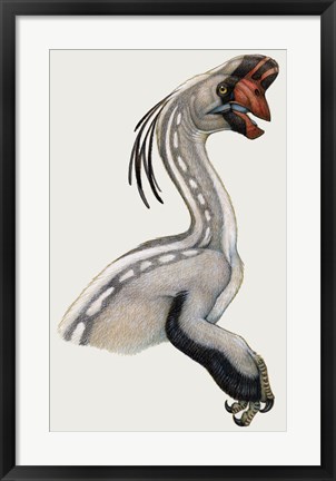 Framed Oviraptor, a Small Dinosaur that Lived During the Cretaceous period Print