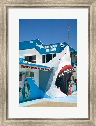 Framed Australia, Queensland, Hervey Bay, Shark Show Print