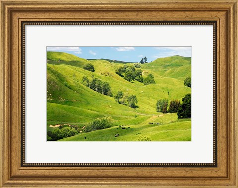 Framed Farmland near Gisborne, New Zealand Print