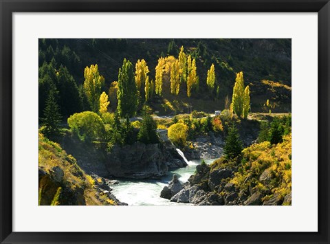 Framed Autumn Colours, Kawarau River, Kawarau Gorge, South Island, New Zealand Print