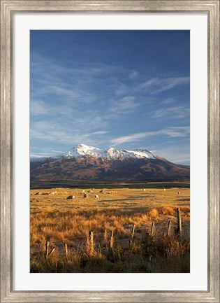 Framed Farm Scene, Mt Ruapehu, North Island, New Zealand Print