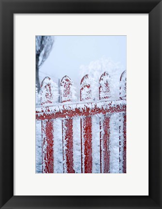 Framed Frost on Gate, Mitchell&#39;s Cottage and Hoar Frost, Fruitlands, near Alexandra, Central Otago, South Island, New Zealand Print