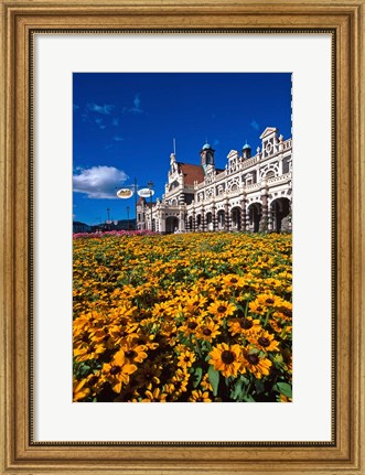 Framed Historic Railway Station and field of flowers, Dunedin, New Zealand Print