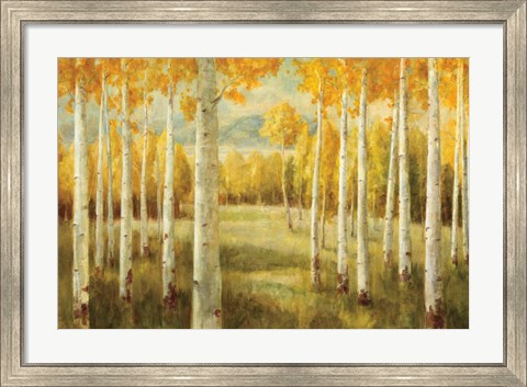 Framed Aspens Print