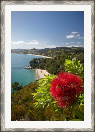 Framed Coastline, Cooks Beach, North Island, New Zealand Print