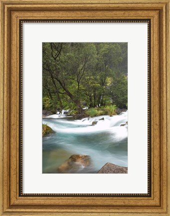 Framed New Zealand, North Island, Rapids on Tarawera River Print