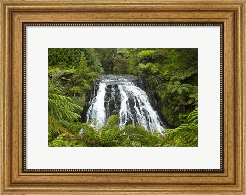 Framed Owharoa Falls, Karangahake Gorge, Waikato, North Island, New Zealand Print