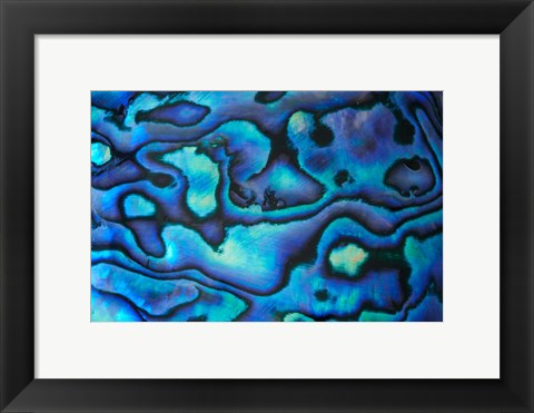 Framed Pattern of Paua Shell, New Zealand Print